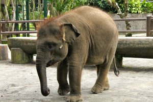 IMG_2276 IMG_2276