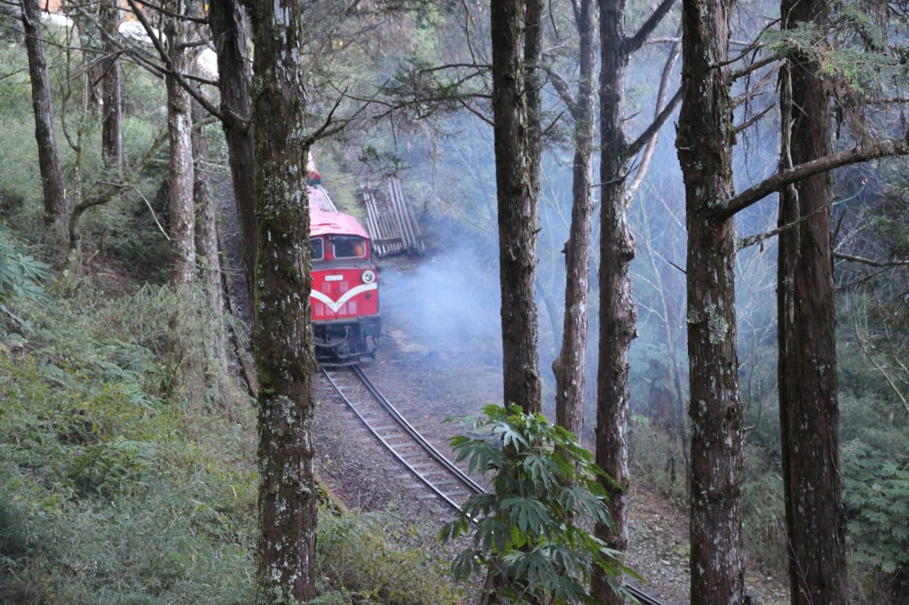 An Alishan Forest Railway narrow gauge train