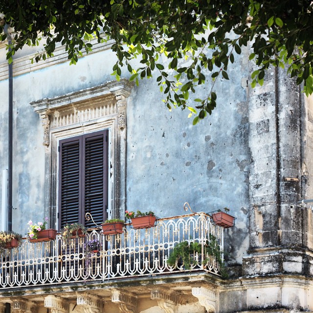 Beauty can be found around every corner, or under every tree, in Sicily.