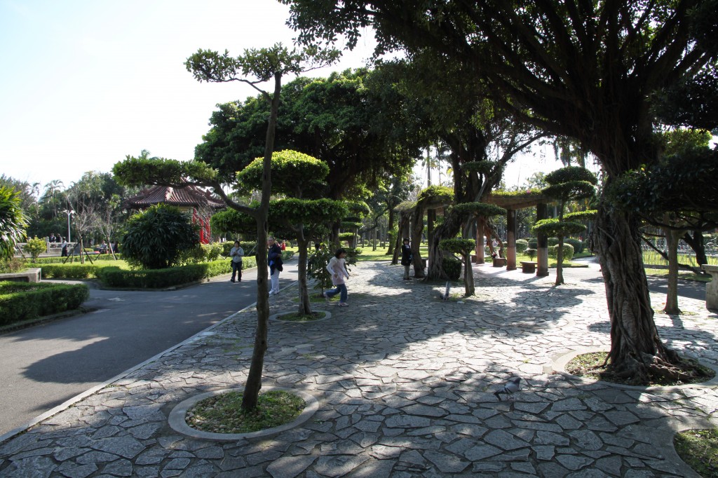 Trees at the 228 Peace Memorial Park