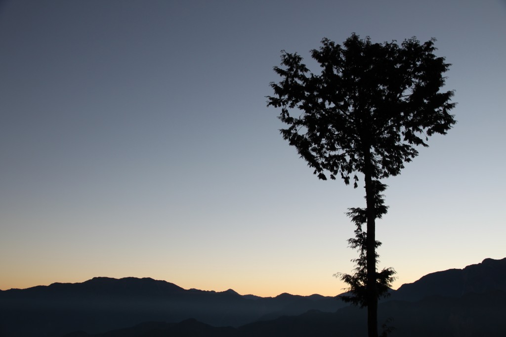 Moments before the Alishan sunrise