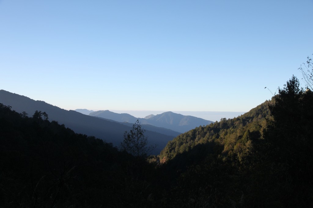 alishan view