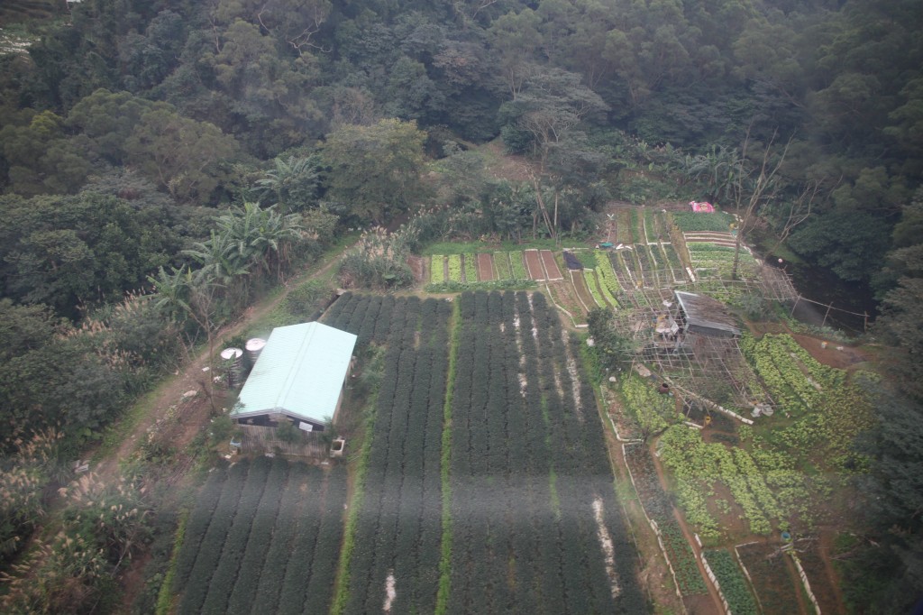 The view from the Maokong Gondola