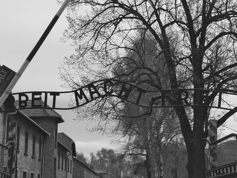 auschwitz