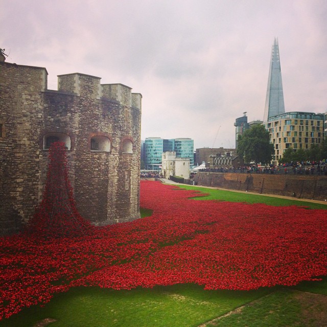 Blood swept lands and seas of red in honor of those in the British military who were killed during the First World War.